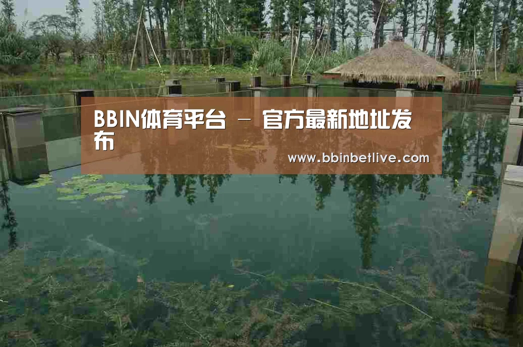 案例展示二(图1)