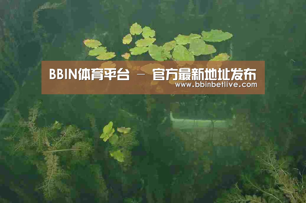 案例展示三(图1)