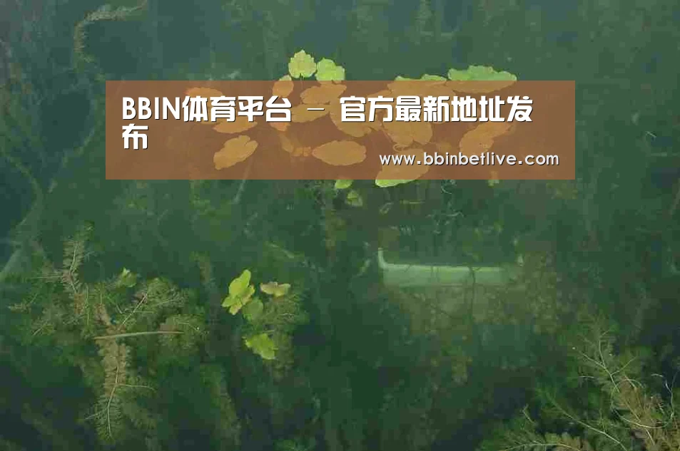 案例展示三