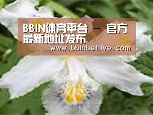 产品名称二