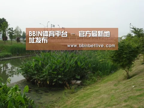 案例展示四