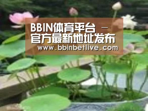产品名称一