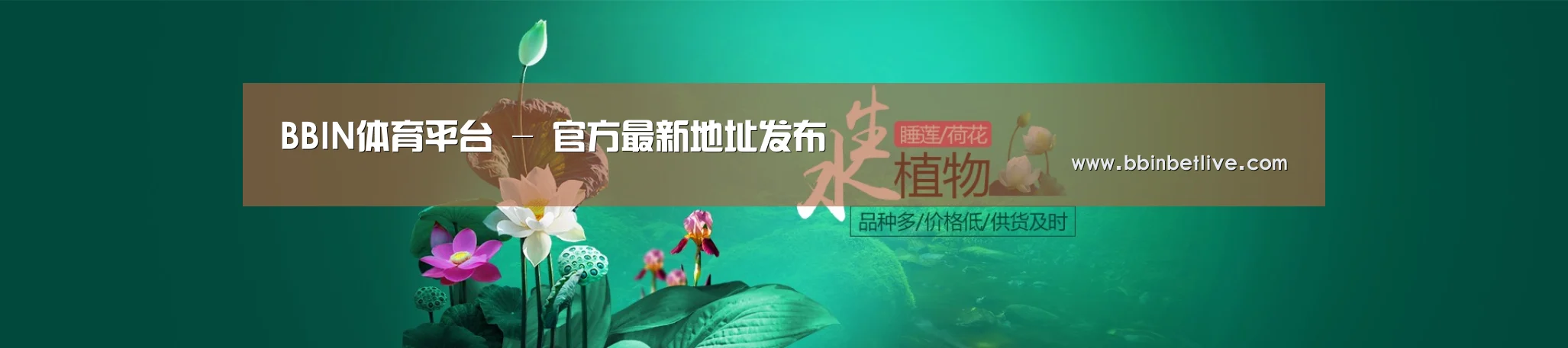 鲜花水草花卉网站模板