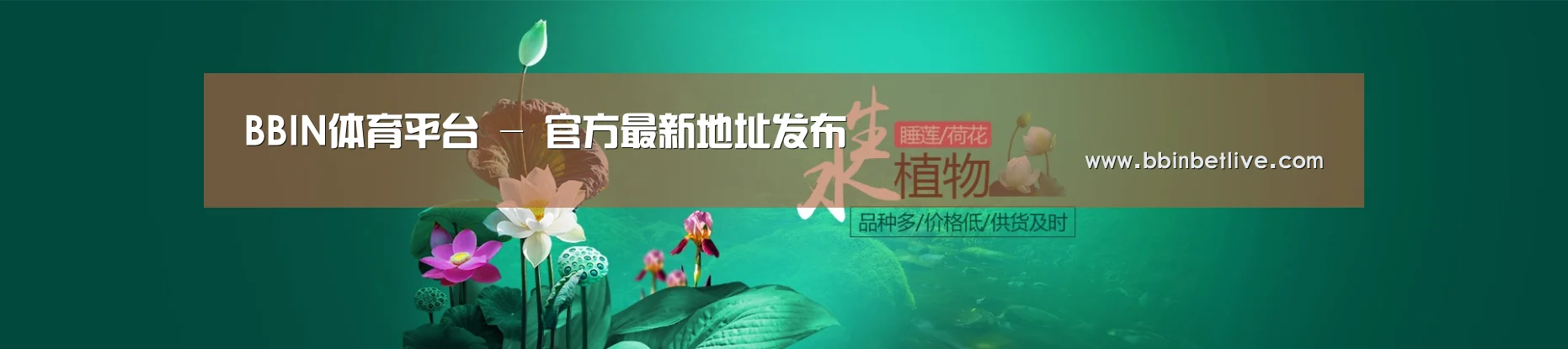鲜花水草花卉网站模板